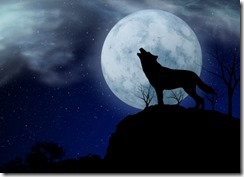 Wolf And Moon courtesy of nixxphotography at freedigitalphotos.net