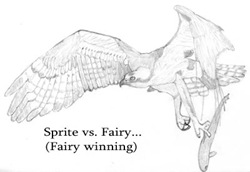 Sprite vs. Fairy
