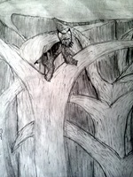 Arbolenx In Tree by Maddie Sheriff